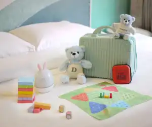 Baby Gear Rentals