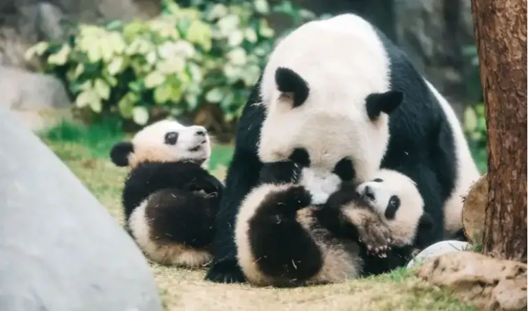 香港海洋公園