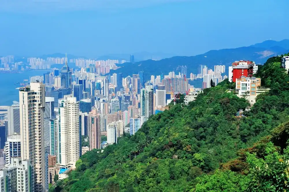 Lung Fu Shan Morning Trail in Hong Kong with panoramic skyline view Lung Fu Shan Morning Trail in Hong Kong with panoramic skyline view